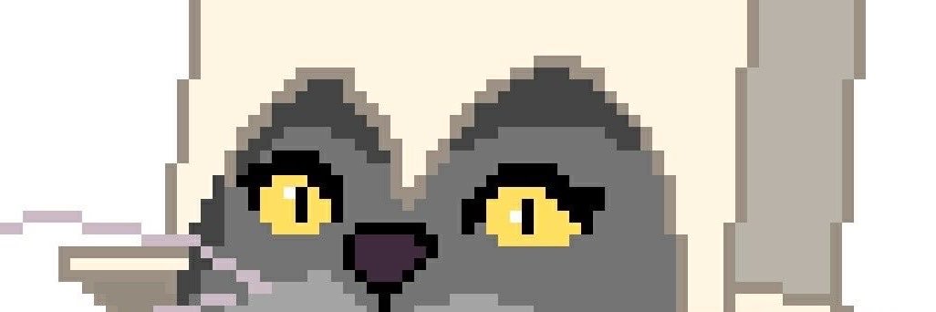 bertonixio's profile banner image