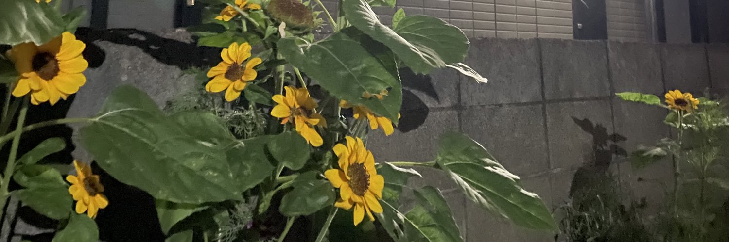 _mbrsnn_'s profile banner image