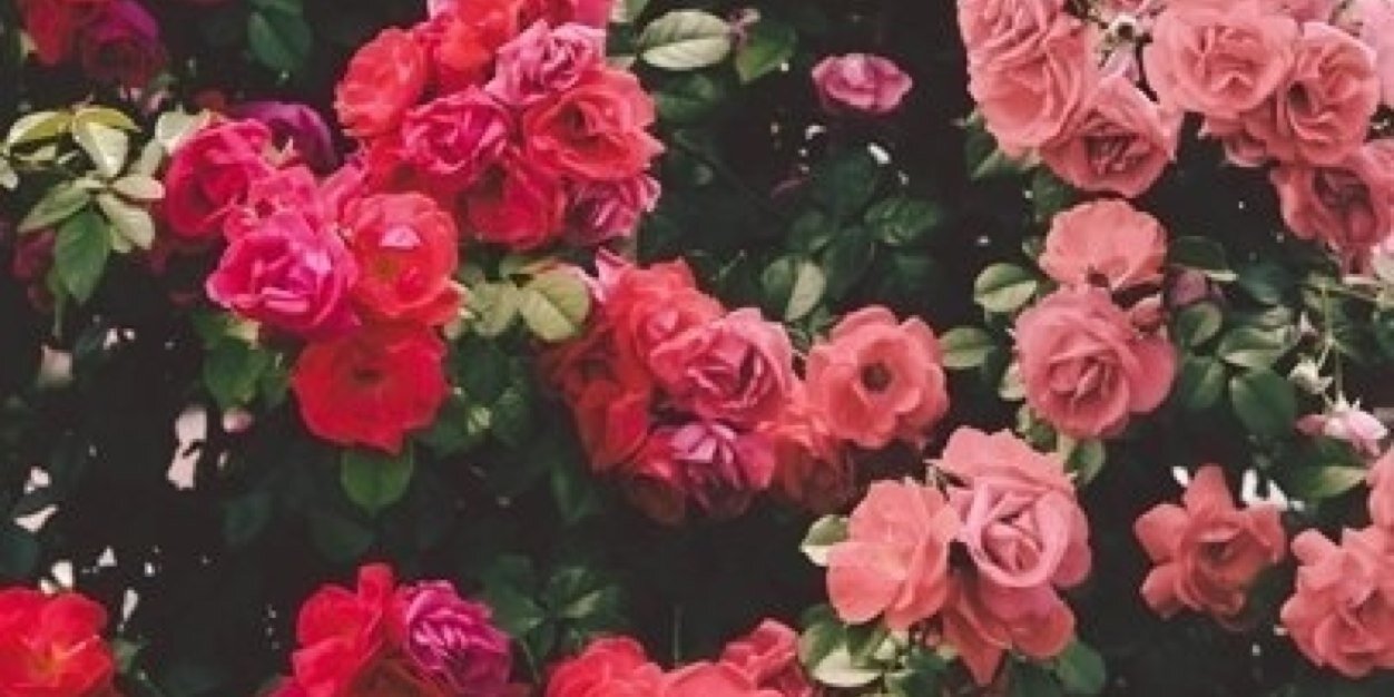 lindacoolenx's profile banner image
