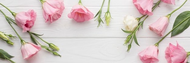 iiivettes's profile banner image