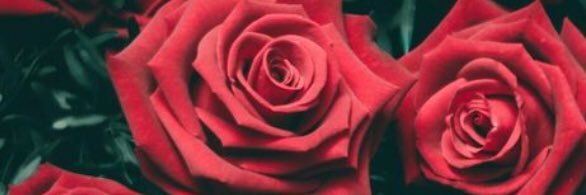 JessTheEmoxx's profile banner image