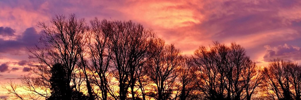 pikelhead's profile banner image
