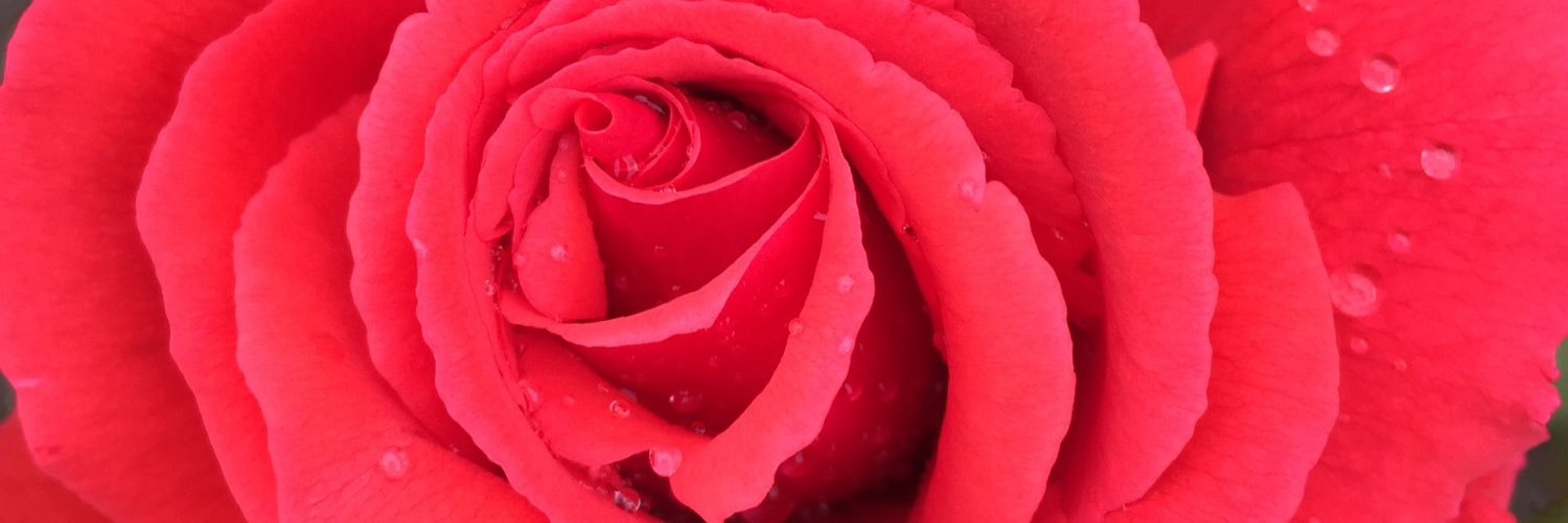 KimAnderson21's profile banner image
