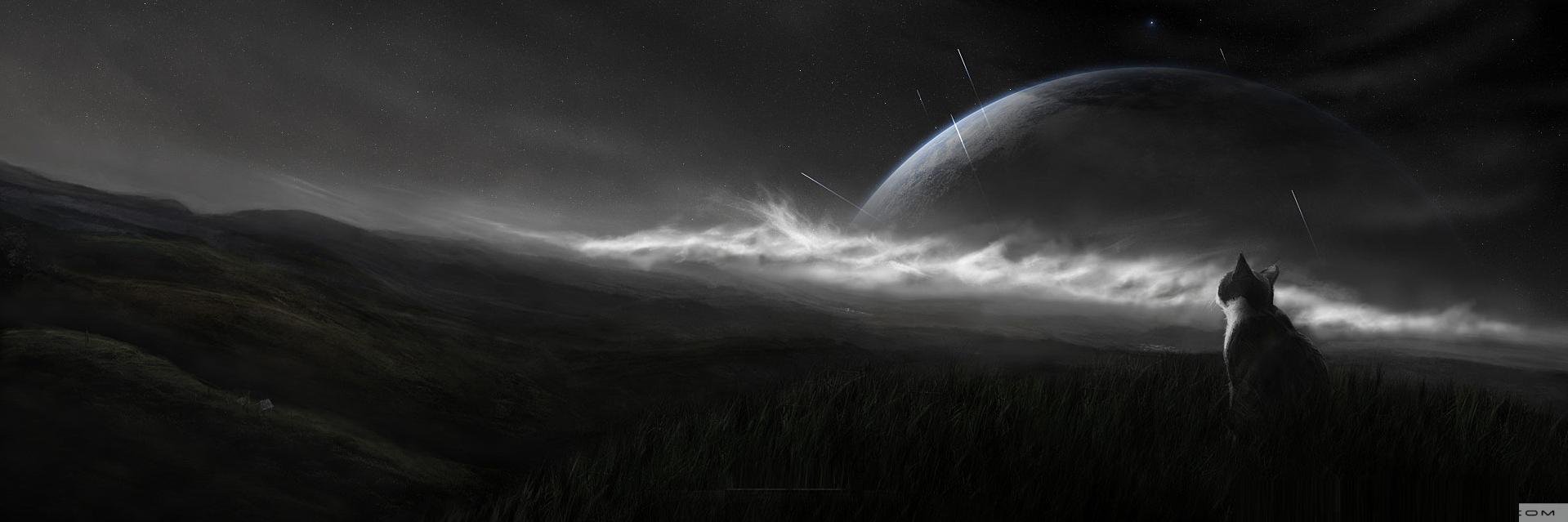 cdeazambuja's profile banner image