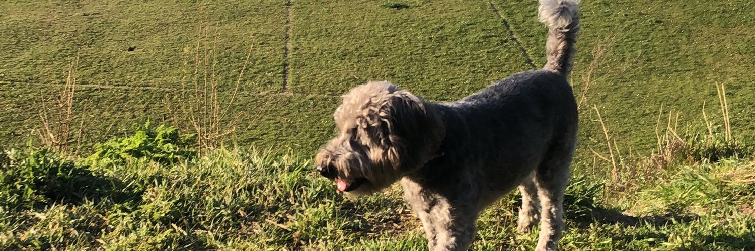 neilmoors100's profile banner image