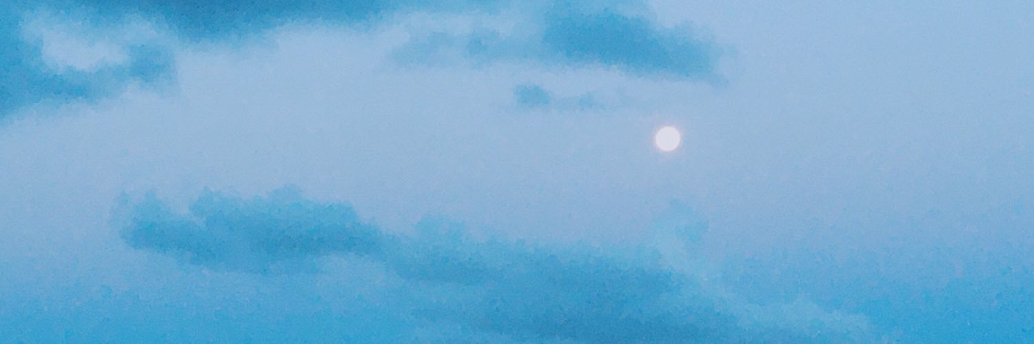 ichihara_wvm's profile banner image