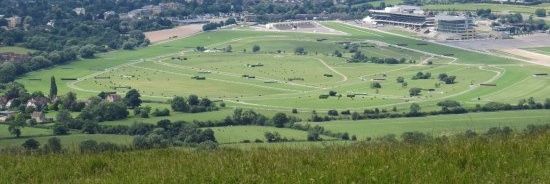 shoobs23's profile banner image