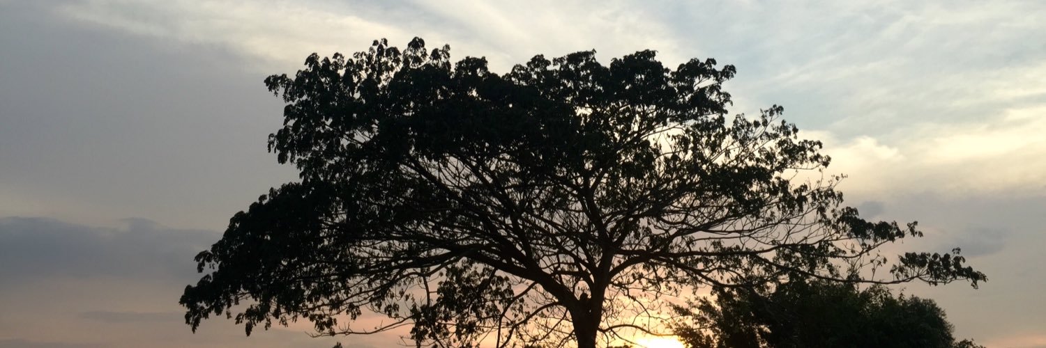 zaaaarul's profile banner image