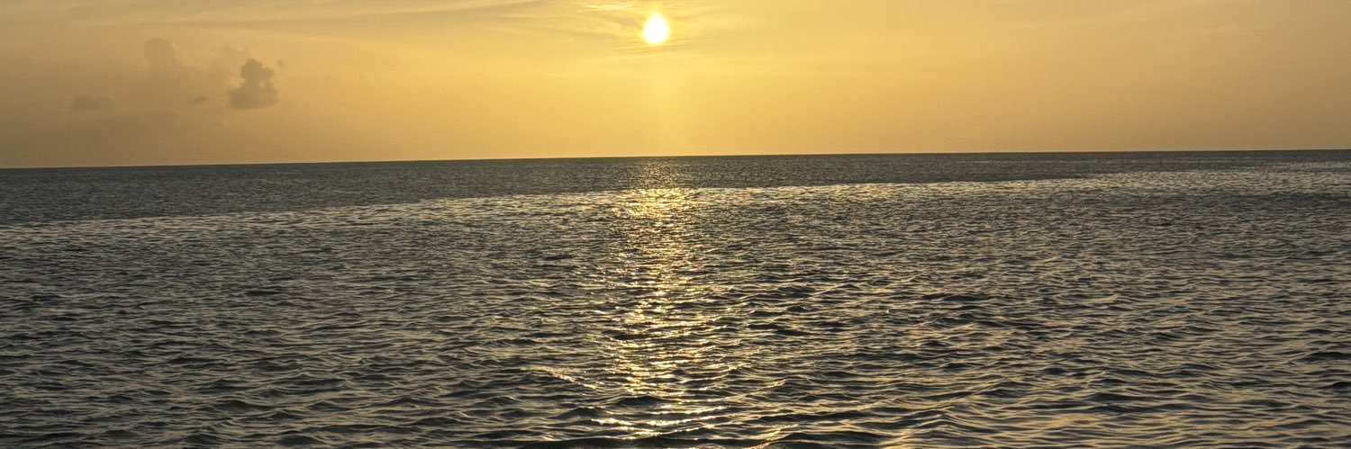 Tyler Trumbauer banner