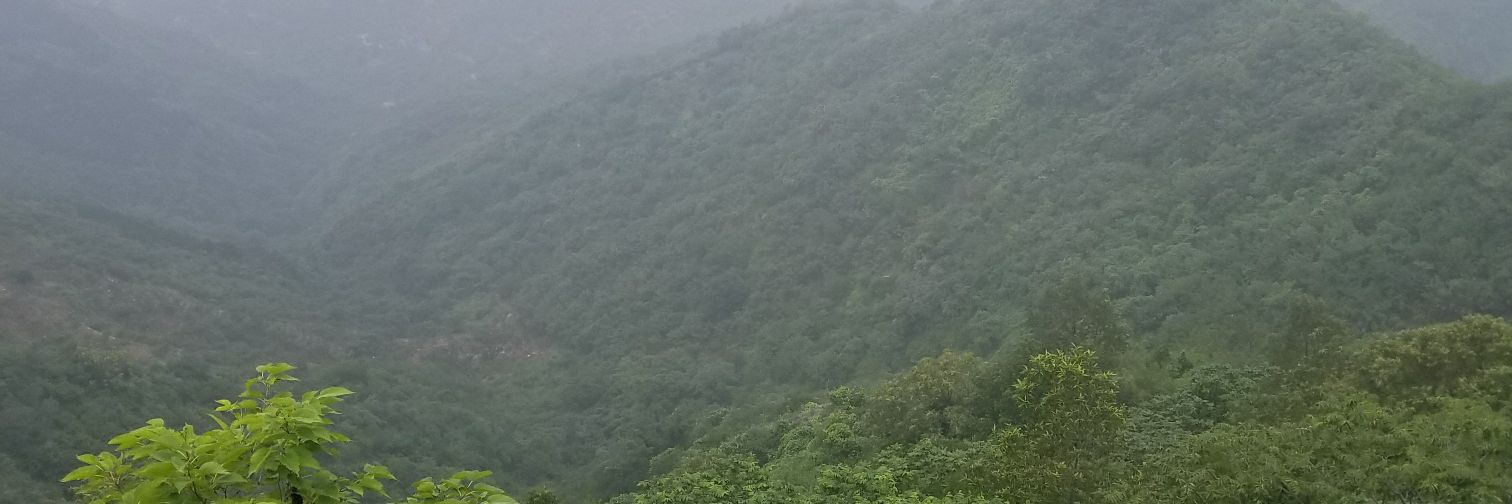 Dr. Nicole Law banner