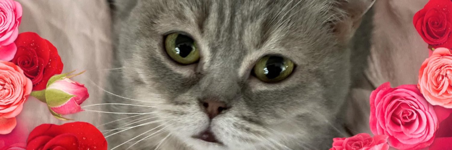 Catje_'s profile banner image
