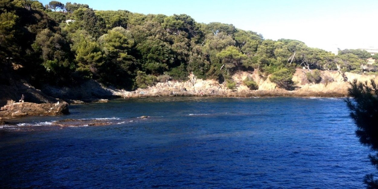 Romain Diebold banner