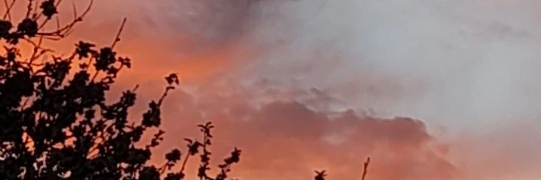 ana_humanes's profile banner image