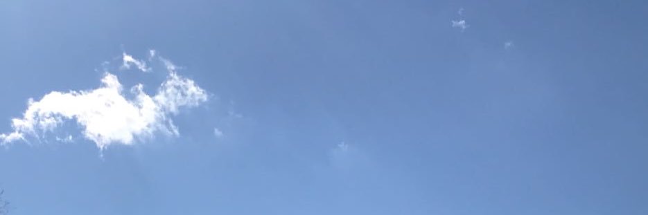 albnyy's profile banner image