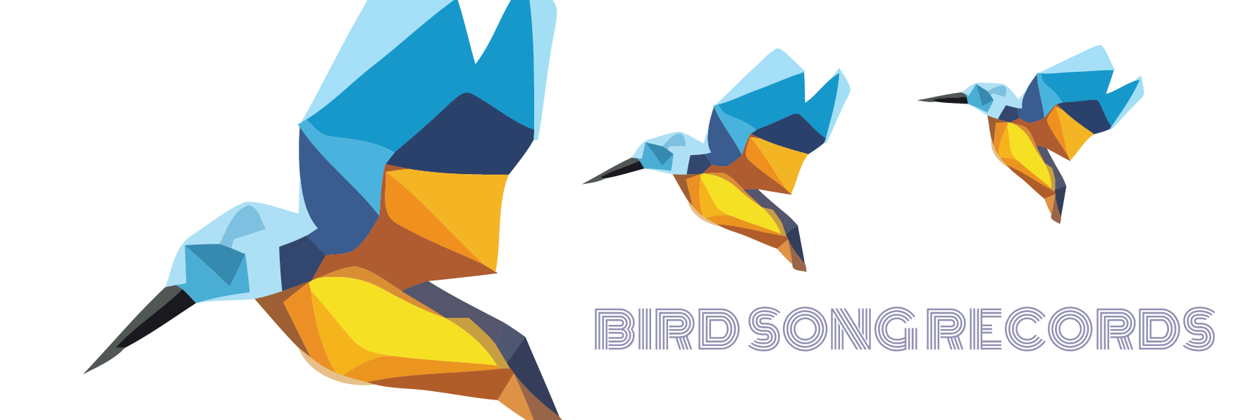 BirdSongRecords's profile banner image