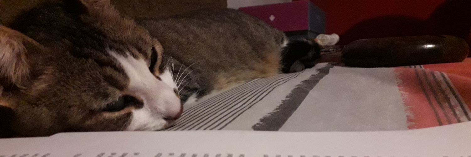 PAULITAAAA14's profile banner image