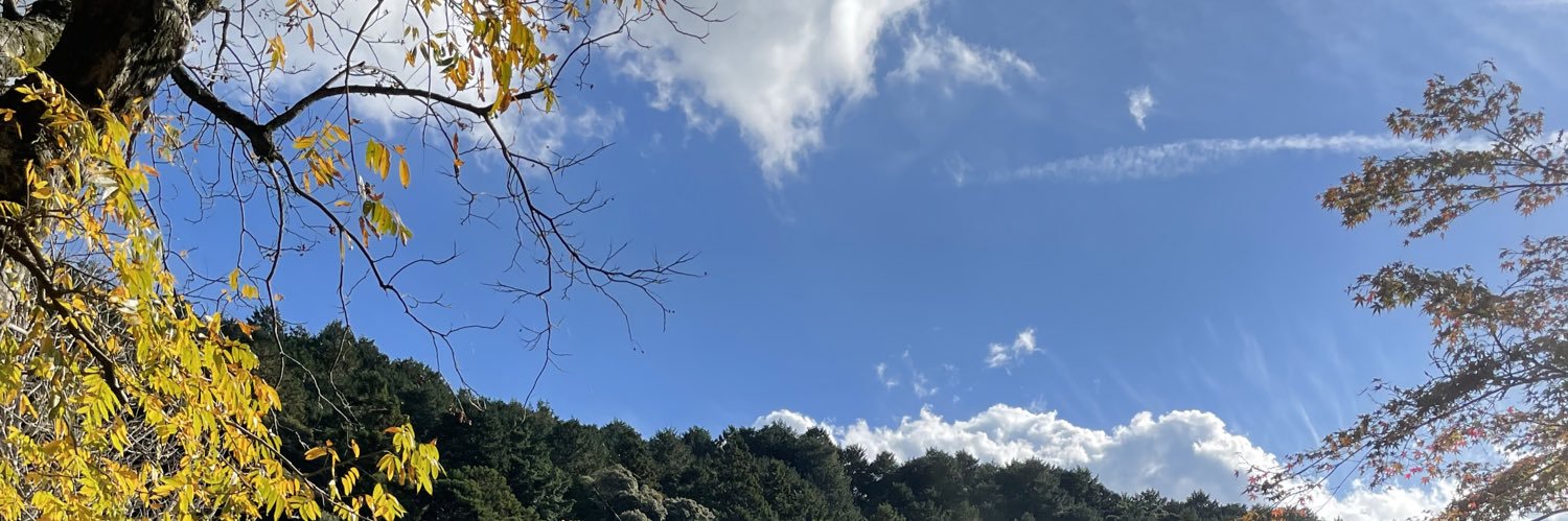 magicalta's profile banner image