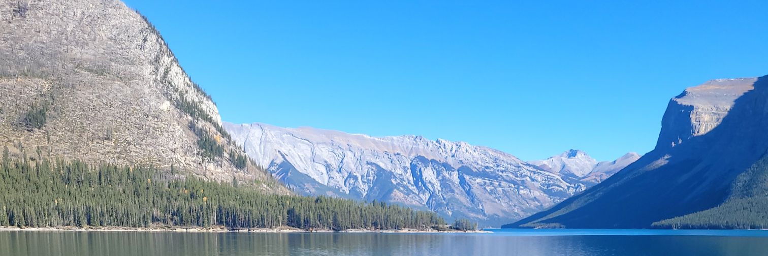 Retired Nigerian banner