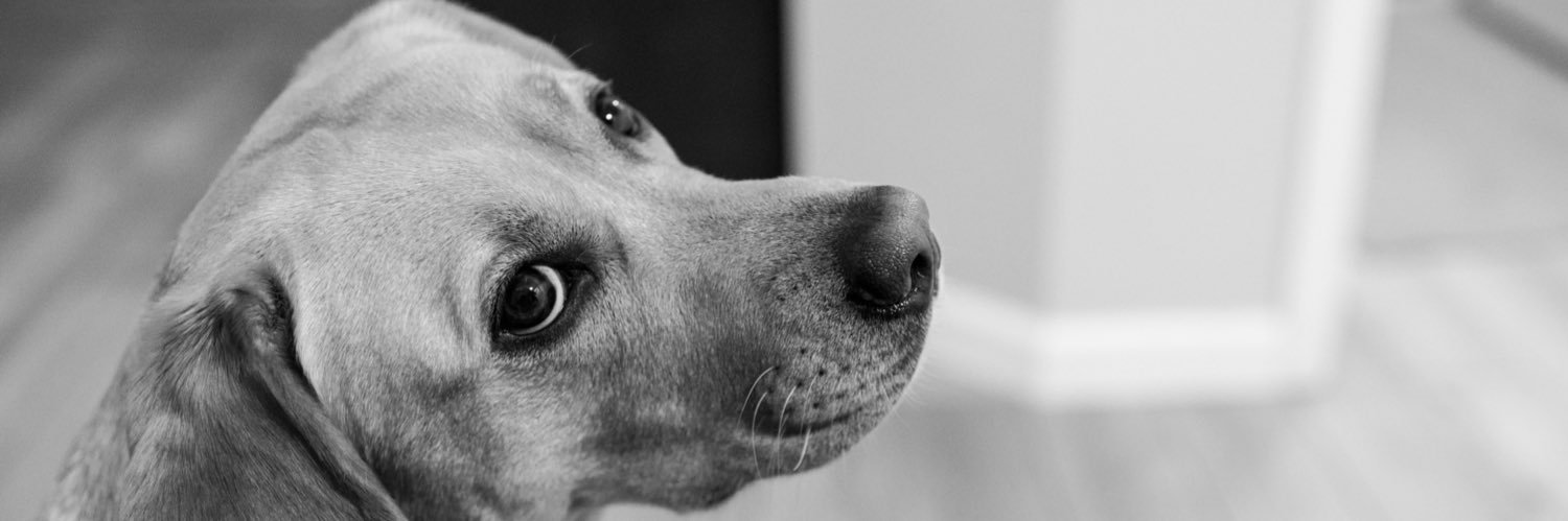 FabAndSad's profile banner image