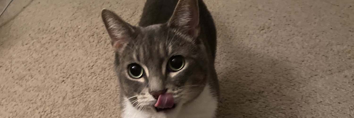 z2trr's profile banner image