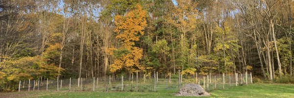 GunkelNic Profile Banner