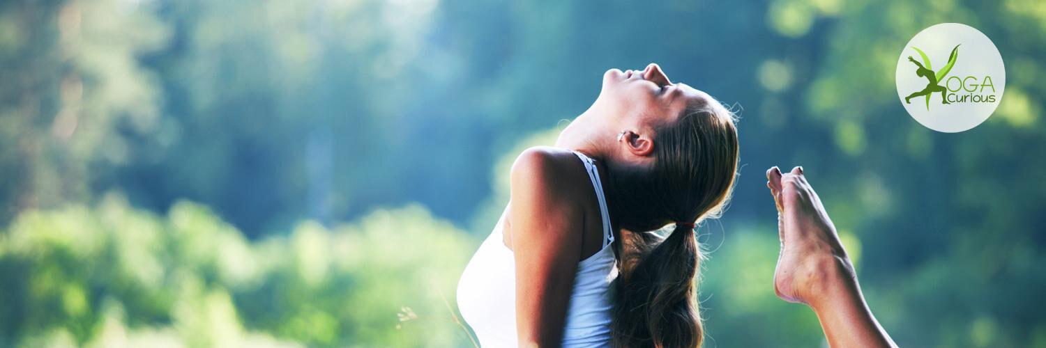 yogacurious's profile banner image