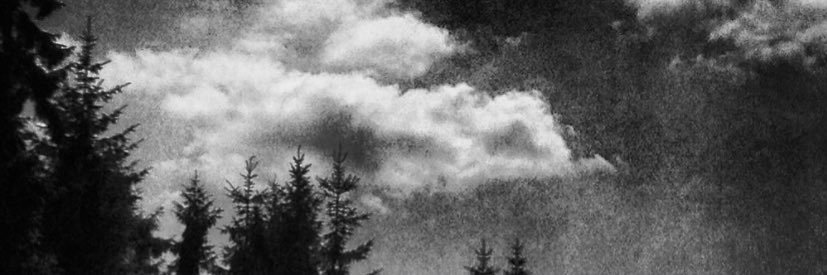 zoej741's profile banner image