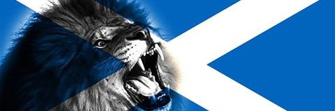 steph_alpha's profile banner image