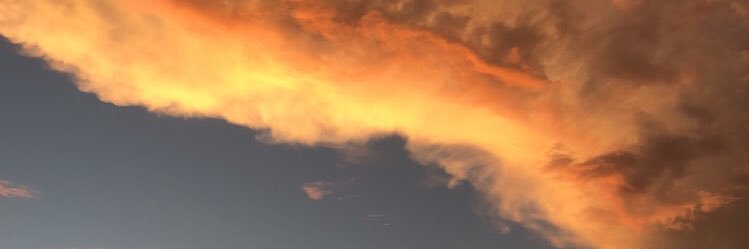 c_buckhout's profile banner image