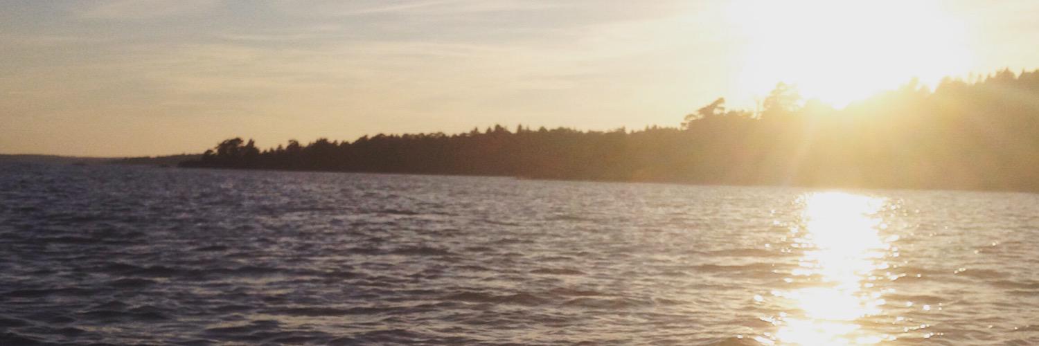 AnnaWerkstrom's profile banner image