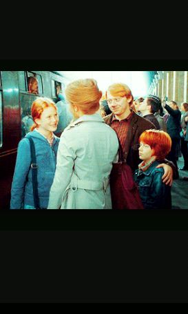 Rose_weasleyme's profile banner image