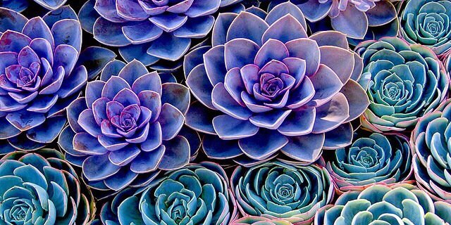 coolcatclairee's profile banner image