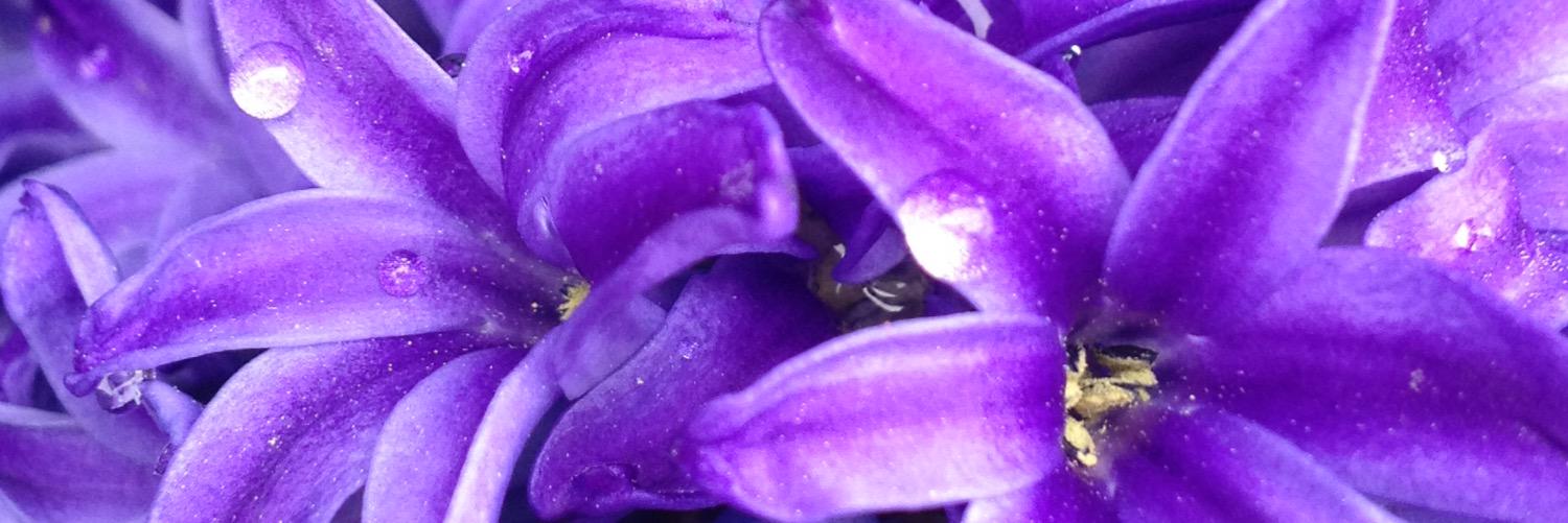 TenishaPurple's profile banner image