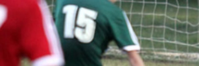 bailey banner