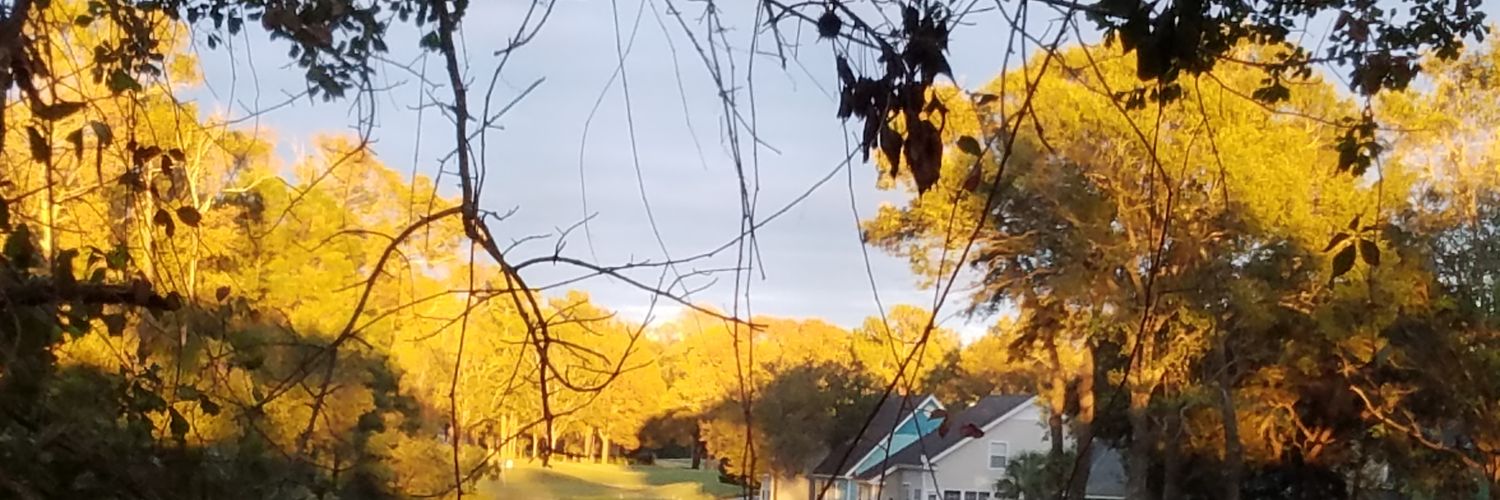 suzberf's profile banner image