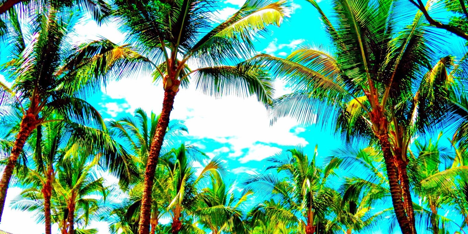 grahamaloha's profile banner image