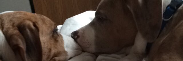 TabithaCrumley_'s profile banner image