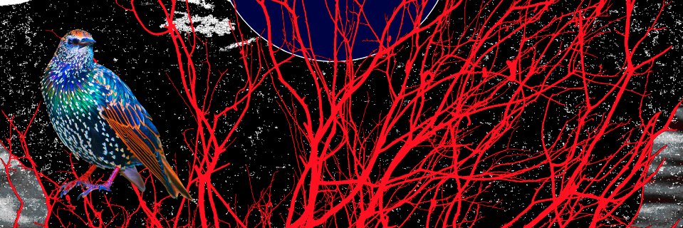 johnfserrano's profile banner image