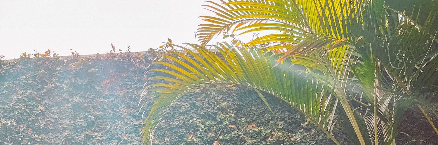 StefanyRibeeiro's profile banner image