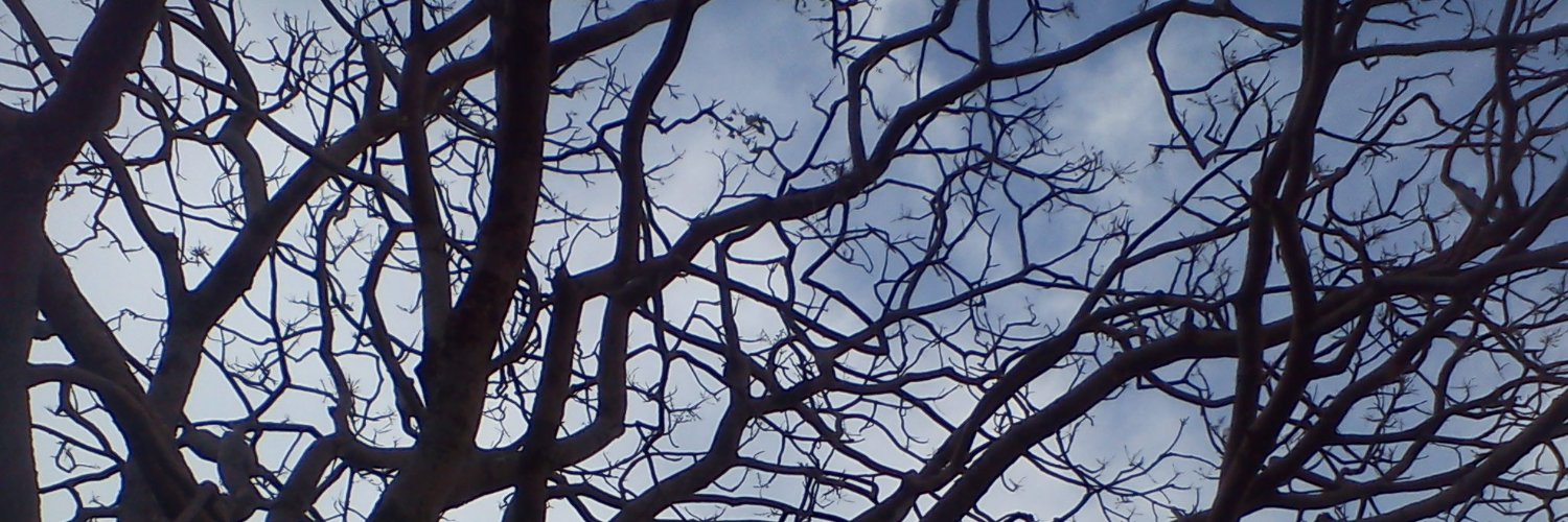 Visirri's profile banner image