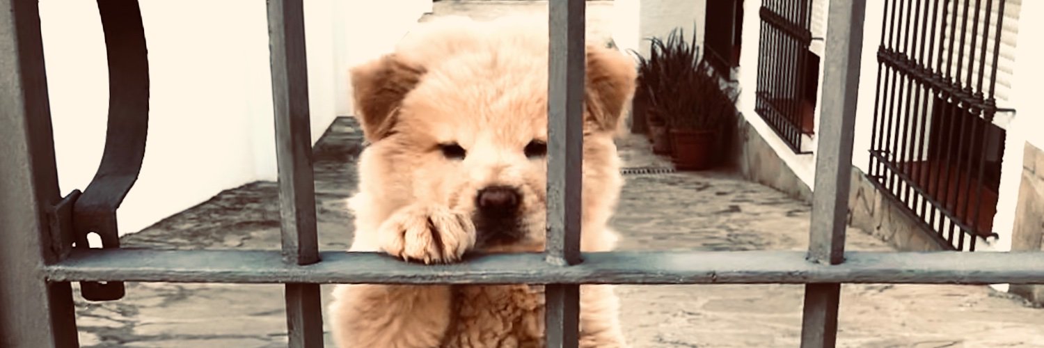 cristiserranog's profile banner image