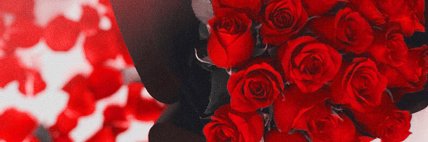شُـروق ✨ banner