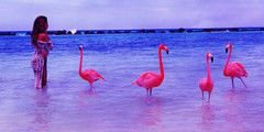 NeslyRPGPLG's profile banner image