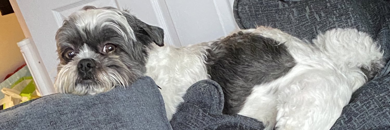 Charlie_Martin_'s profile banner image