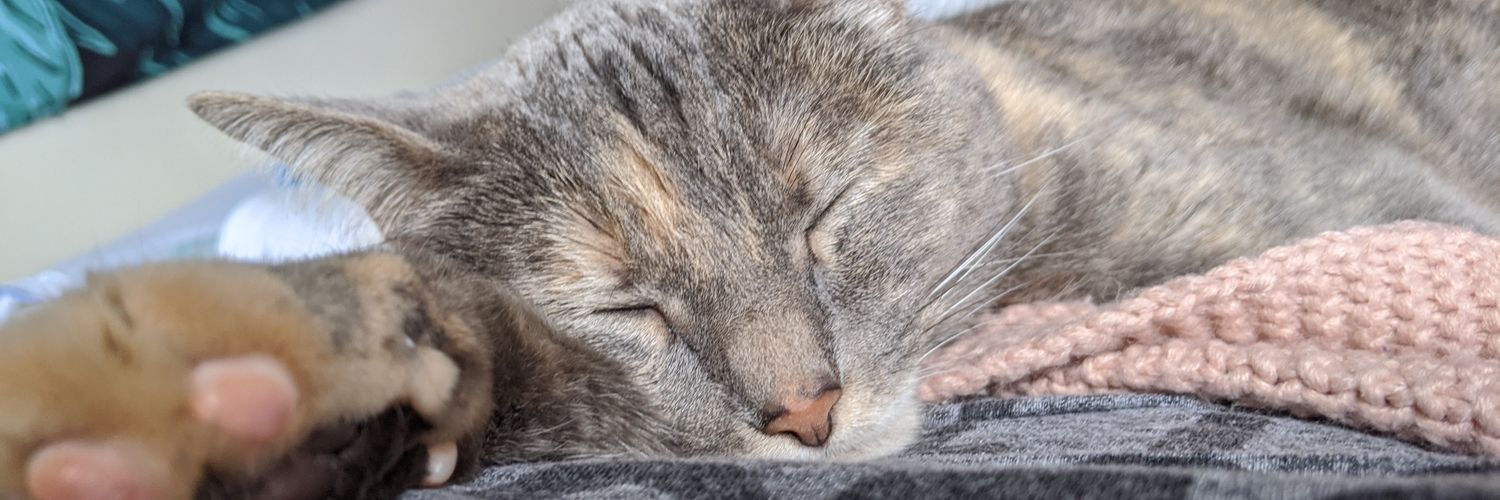 jessuckss's profile banner image