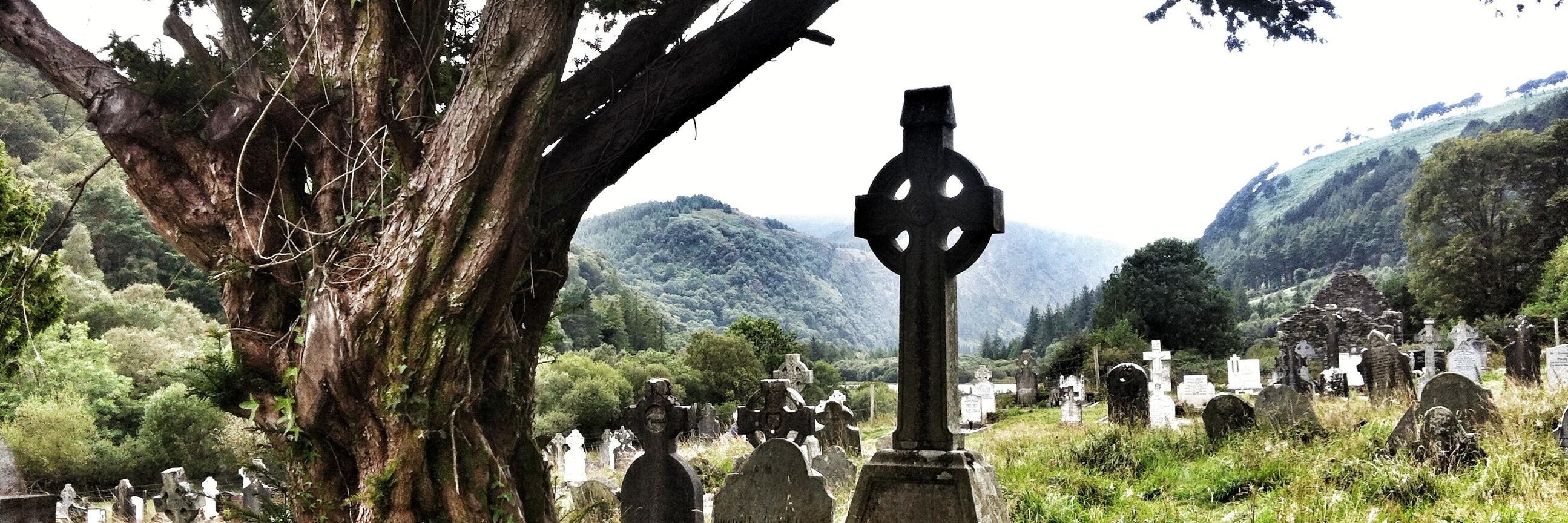 Fuller’s Figures banner