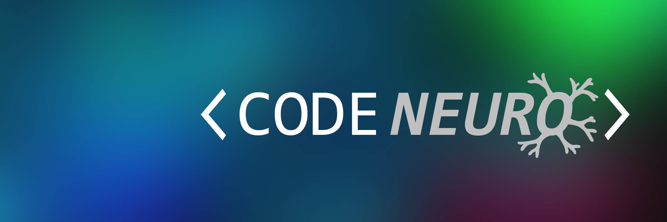 CodeNeuro's profile banner image