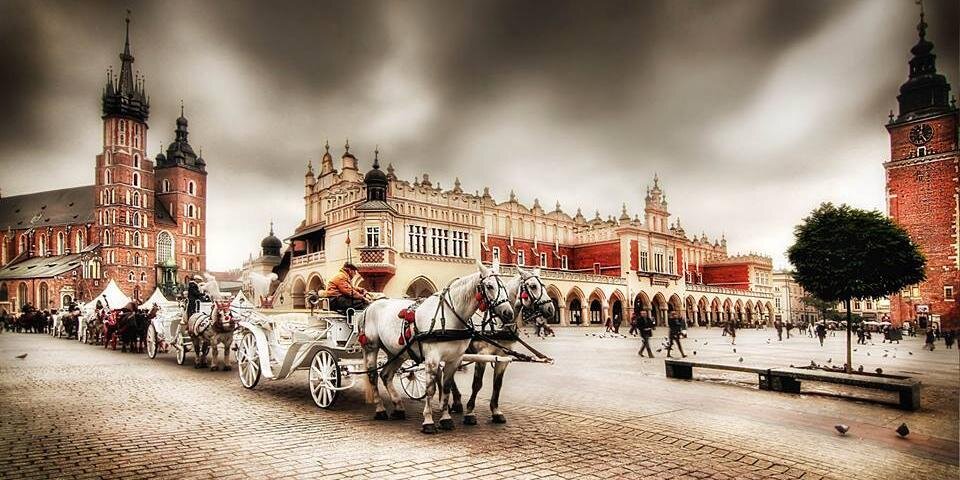 Saracracy's profile banner image