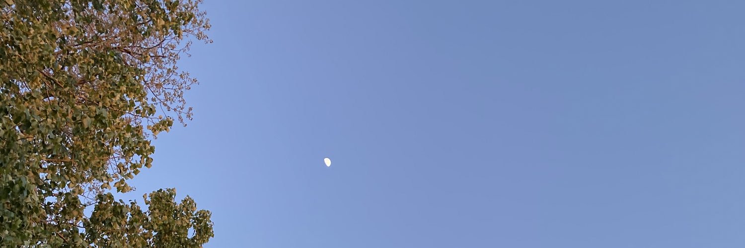 vcunicole's profile banner image