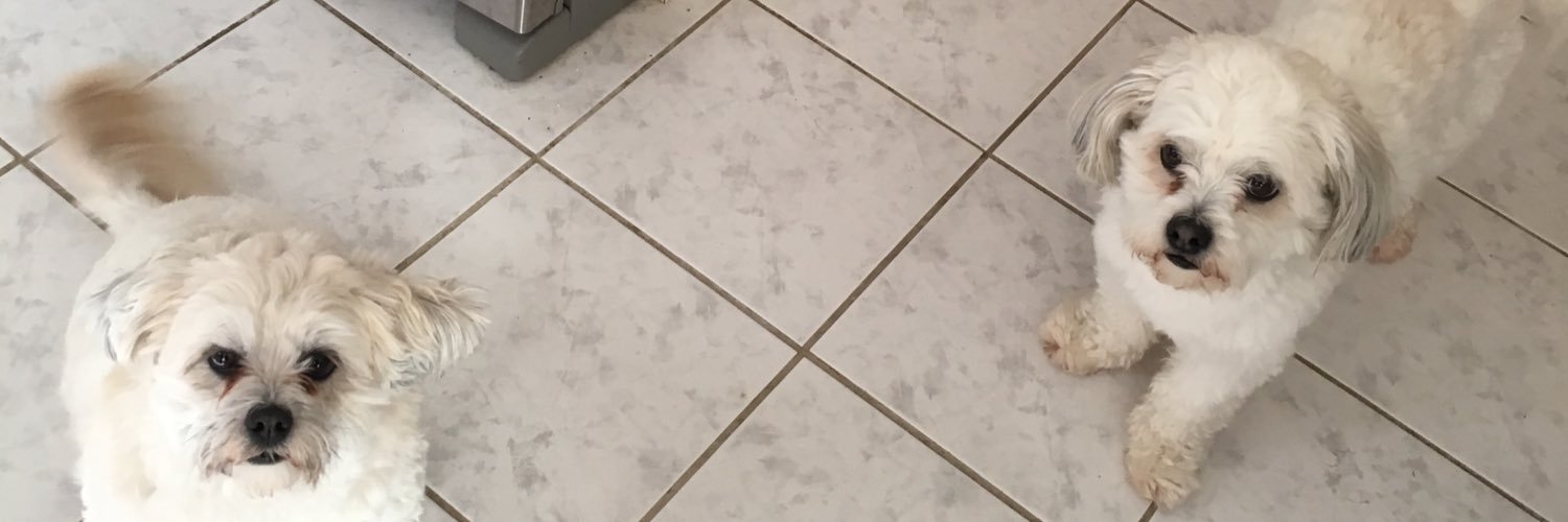 GourChloe's profile banner image